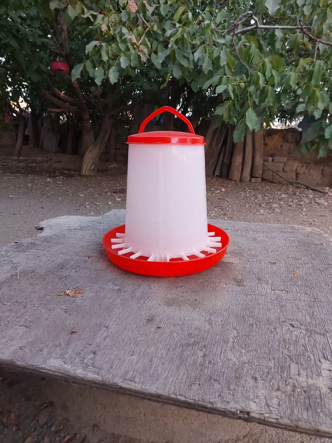 معاوضه با مرغ و خروس و غاز و قوغاز|لوازم جانبی حیوانات|زنجان, |دیوار