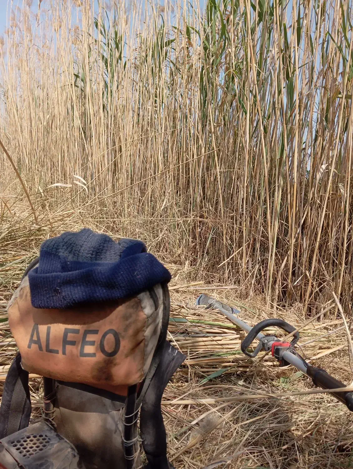 باغبانی|خدمات باغبانی و درختکاری|خرمشهر, |دیوار