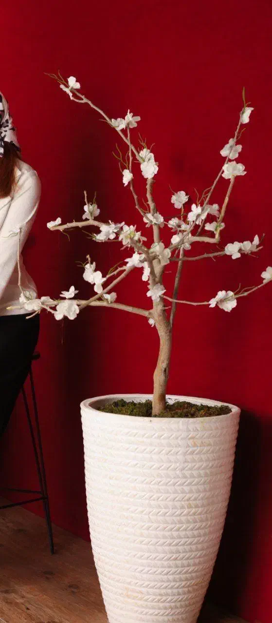 گلدان و درخت|گل مصنوعی|قدس, شهر‌قدس|دیوار