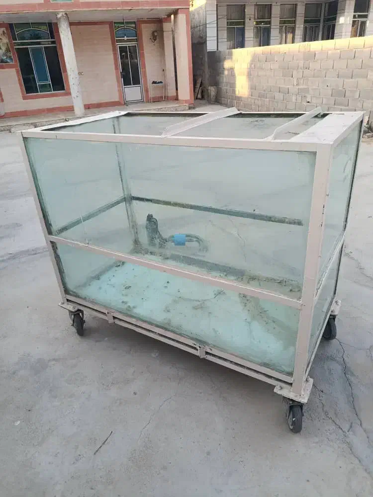 آکواریوم فروشی ۱۴ملیون با تخفیف|ماهی|لردگان, |دیوار