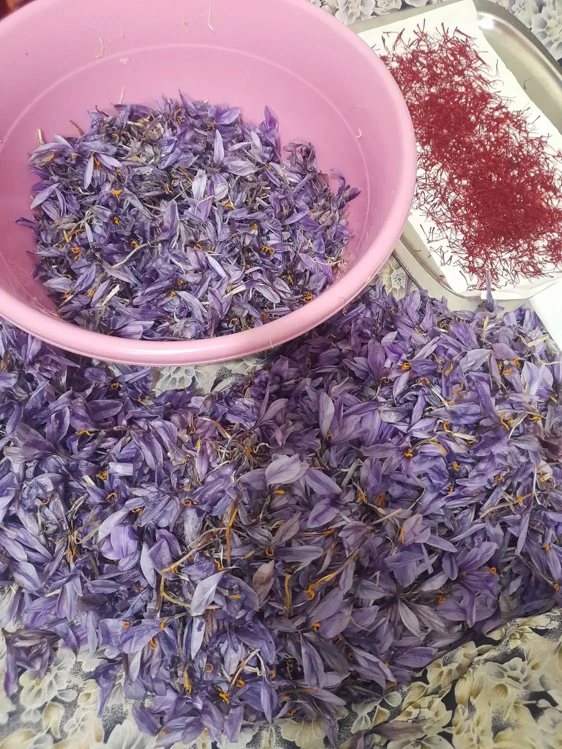 زعفران تازه|خوردنی و آشامیدنی|اهر, |دیوار