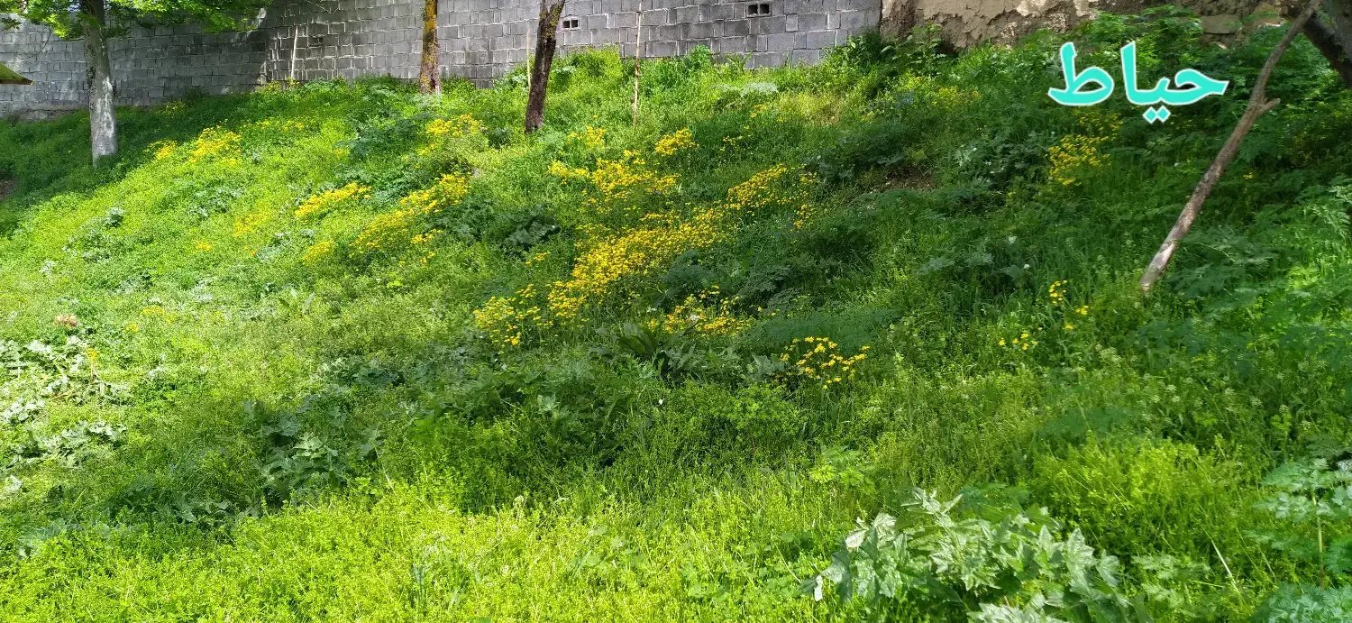 ویلا ییلاقی بازسازی شده منطقه جنگلی خوشآبوهوا|فروش خانه و ویلا|فریم, |دیوار