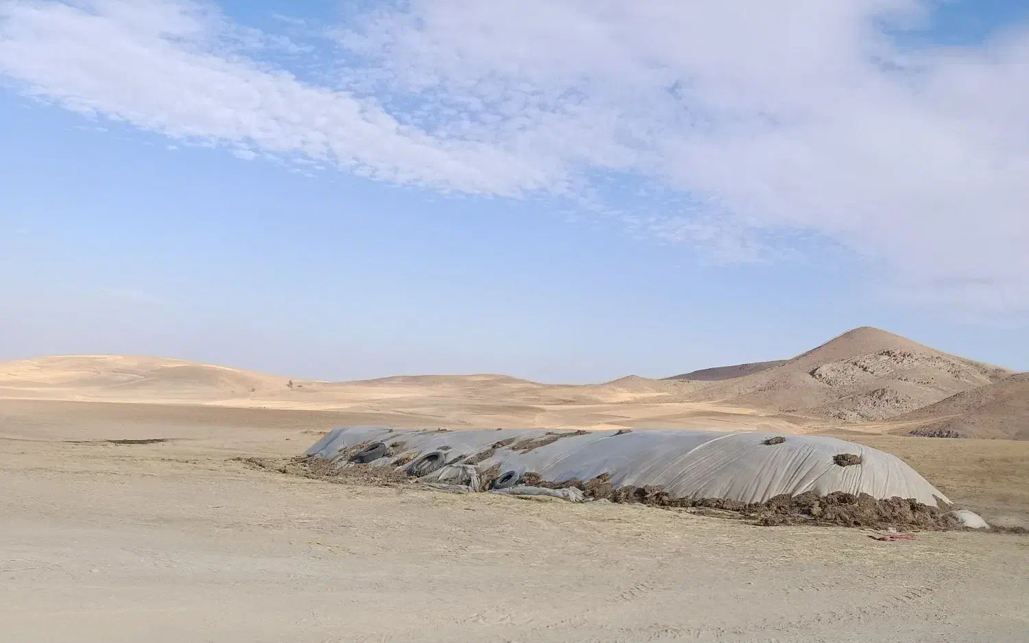 کاه نرم دیم|خدمات باغبانی و درختکاری|دهگلان, |دیوار