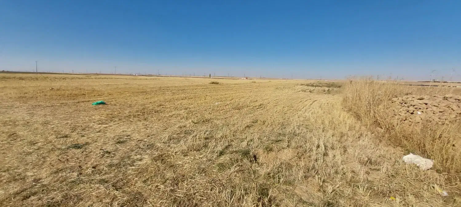 اجاره ۶ هکتار زمین مرغوب جا سیب وگندم|اجارهٔ دفتر صنعتی، کشاورزی، تجاری|قروه, |دیوار