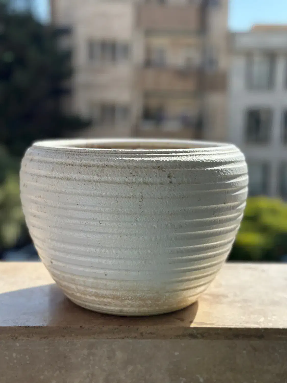 گلدون و پایه|گل و گیاه طبیعی|کرج, گوهردشت|دیوار