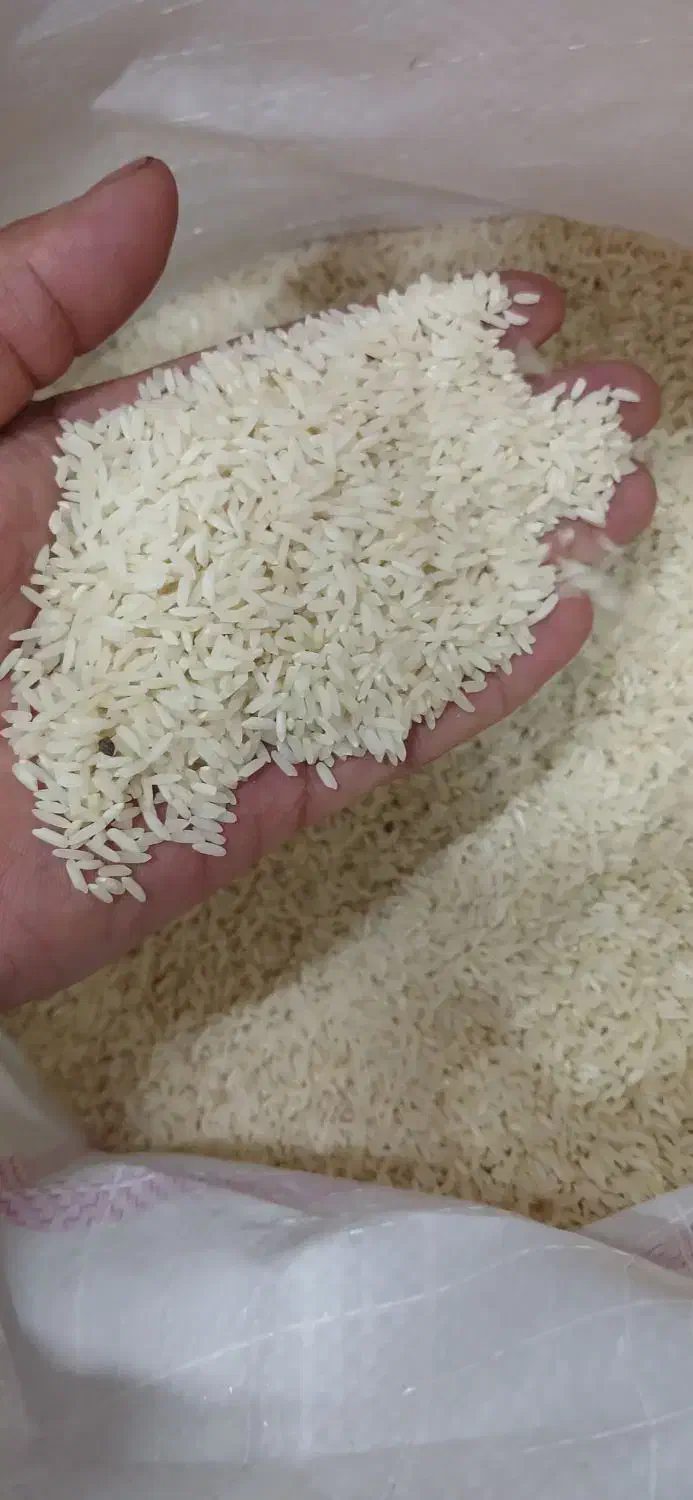 برنج ممان میانه|خوردنی و آشامیدنی|قرچک, داوود آباد|دیوار