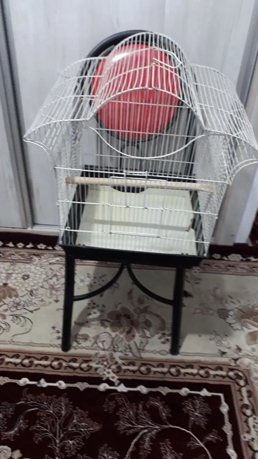 دو عدد قفس پرنده|لوازم جانبی حیوانات|سهند, |دیوار