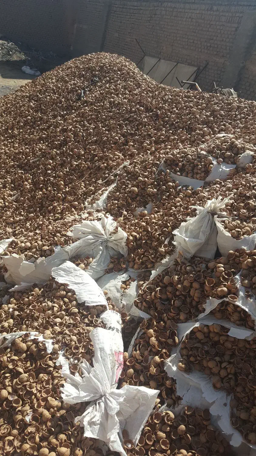 پوست گردو|عمدهفروشی|سبزوار, قصبه شرقی|دیوار