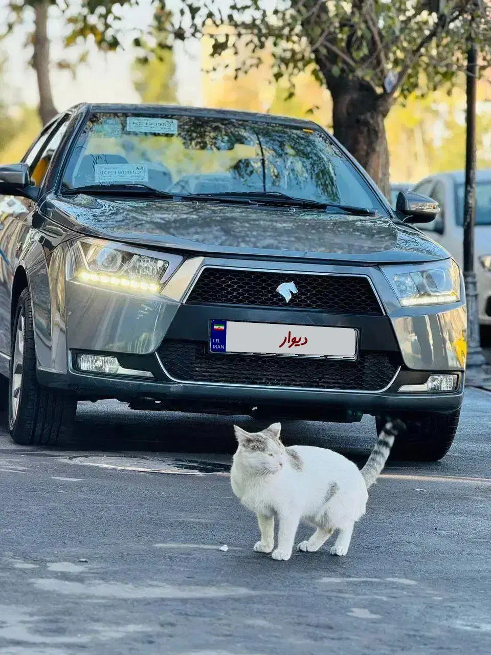 دنا پلاس توربو|خودرو سواری و وانت|تبریز, |دیوار