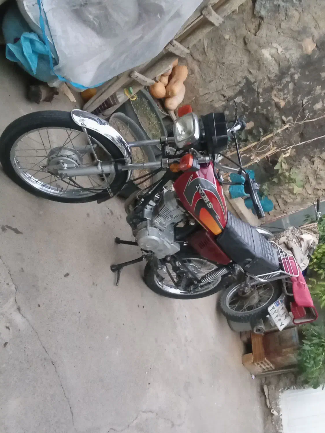 متور 125 شاتون کوتاه NMS|موتورسیکلت|بانه, |دیوار