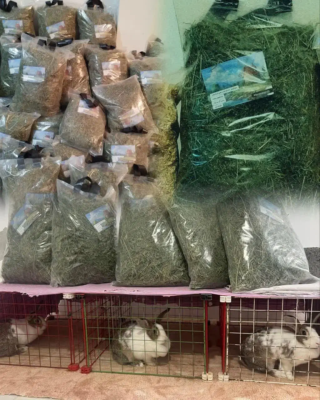 یونجه|لوازم جانبی حیوانات|تهران, تهرانسر شرقی|دیوار