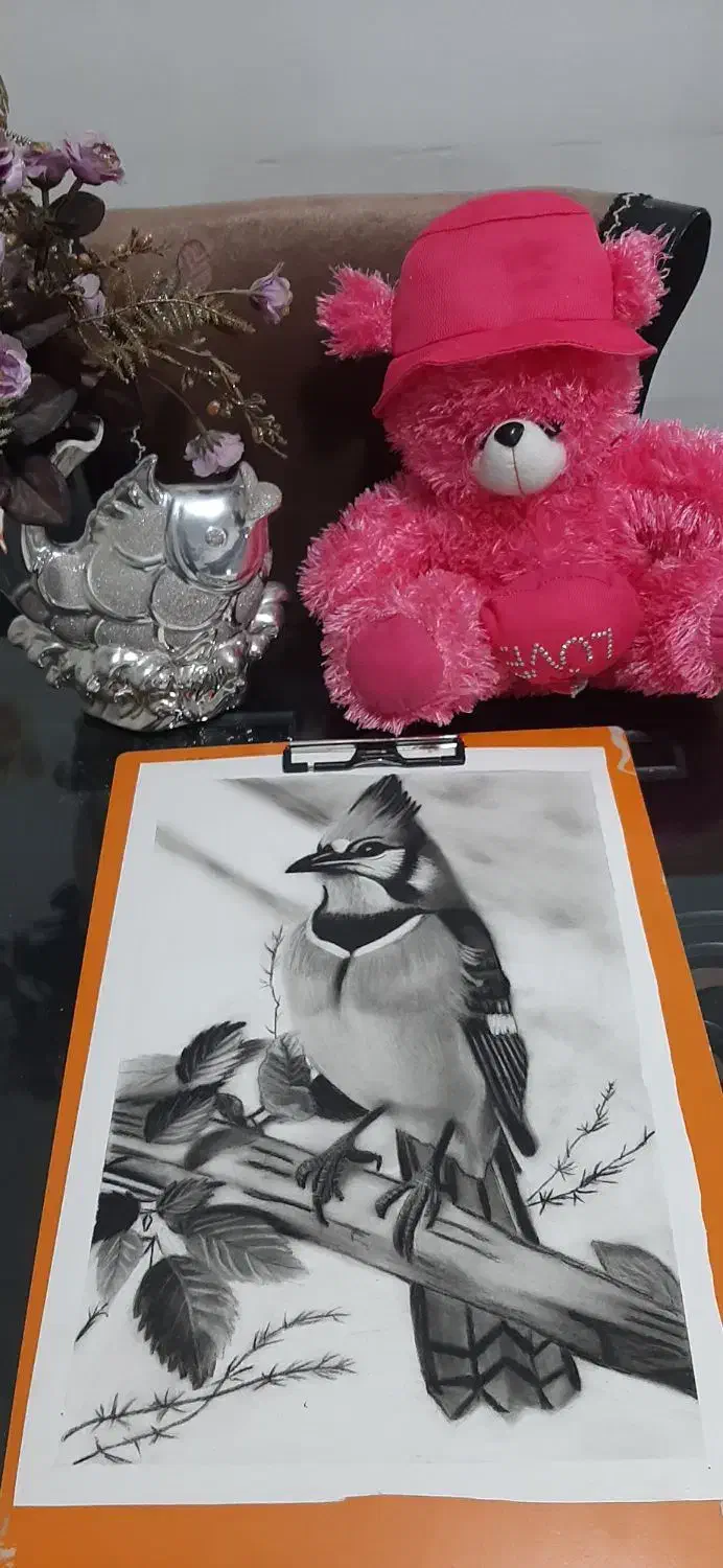 سیاه قلم ومداد رنگی|تابلو، نقاشی، عکس|پاکدشت, پاکدشت (مامازند)|دیوار