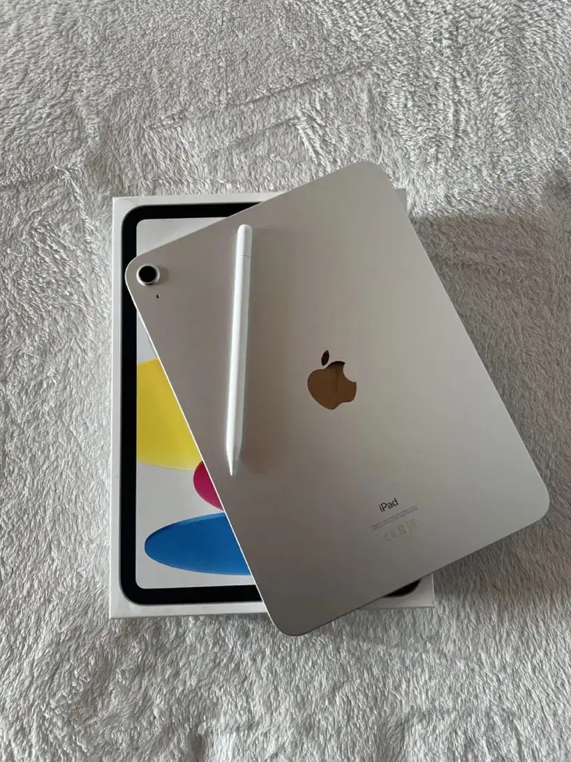 iPad 10th|تبلت|مشهد, تربیت (صدف)|دیوار
