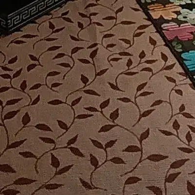 موکت طرح دار تمیز وسالم|موکت|رشت, حمیدیان|دیوار