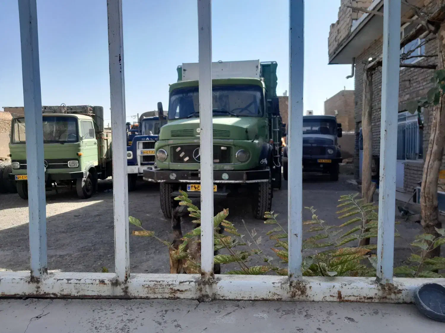 تک بنز ده تن ۱۹۲۱|خودرو سنگین|هلالی, |دیوار