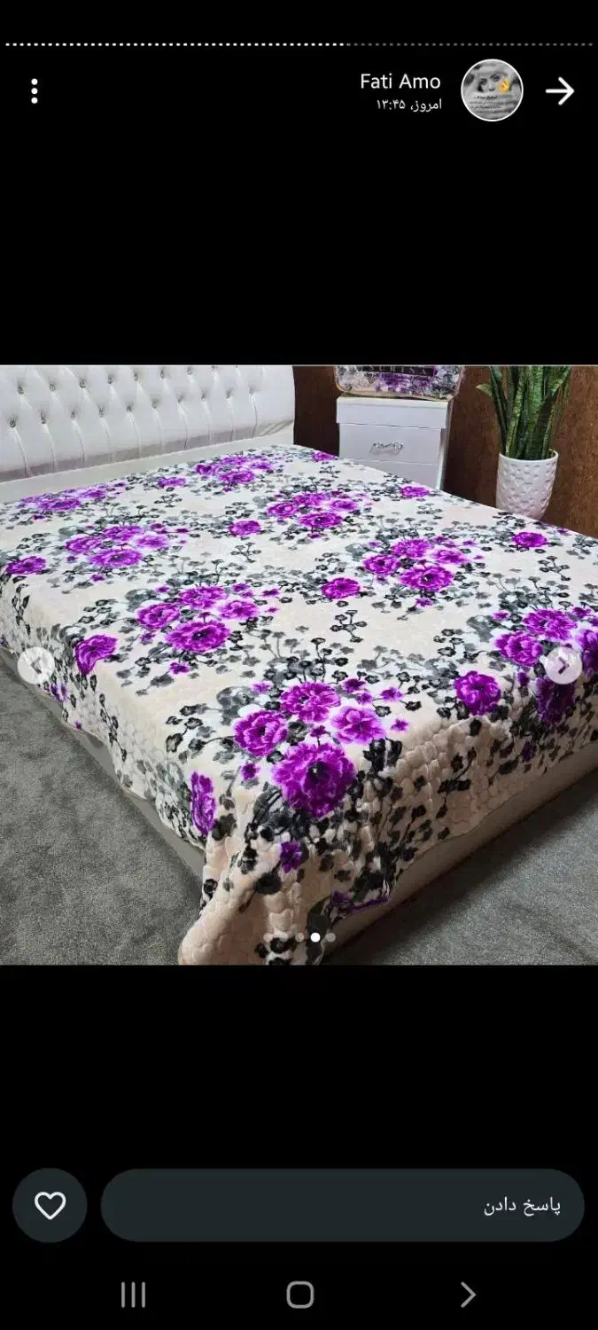 شال مبل|رختخواب، بالش، پتو|اهواز, سپیدار|دیوار