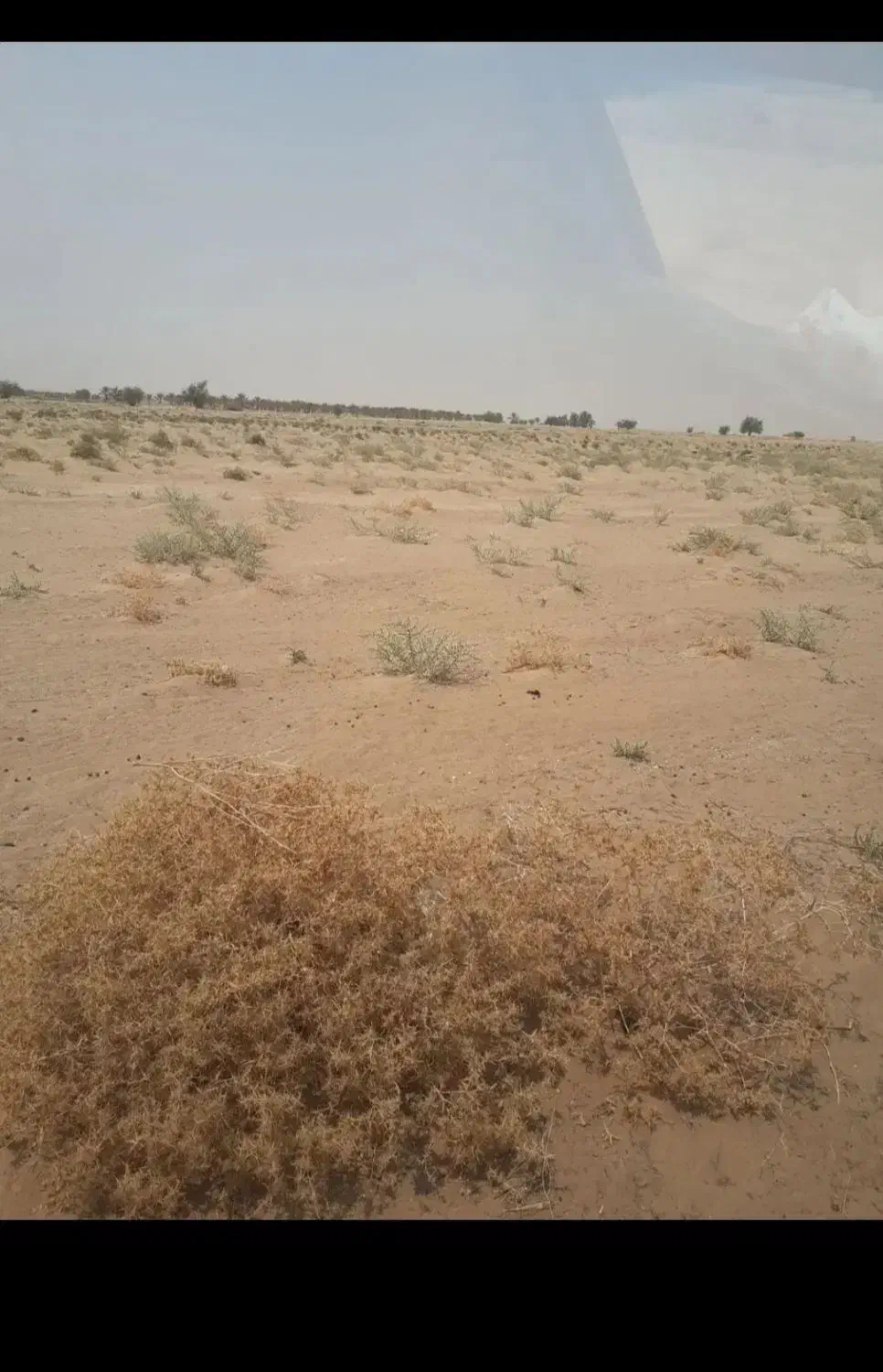 زمین سند تک برگ کشاورزی|فروش دفتر صنعتی، کشاورزی، تجاری|چغادک, |دیوار