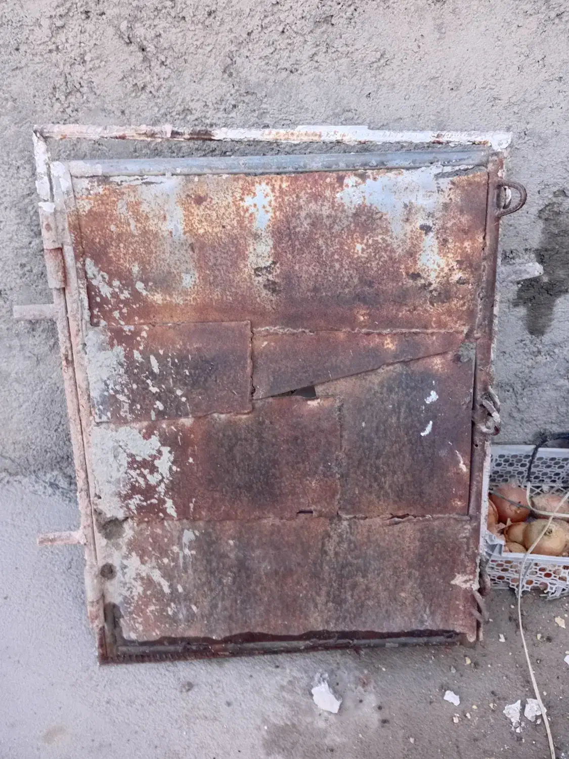 درآقل کفتر|پرنده|چناران, |دیوار