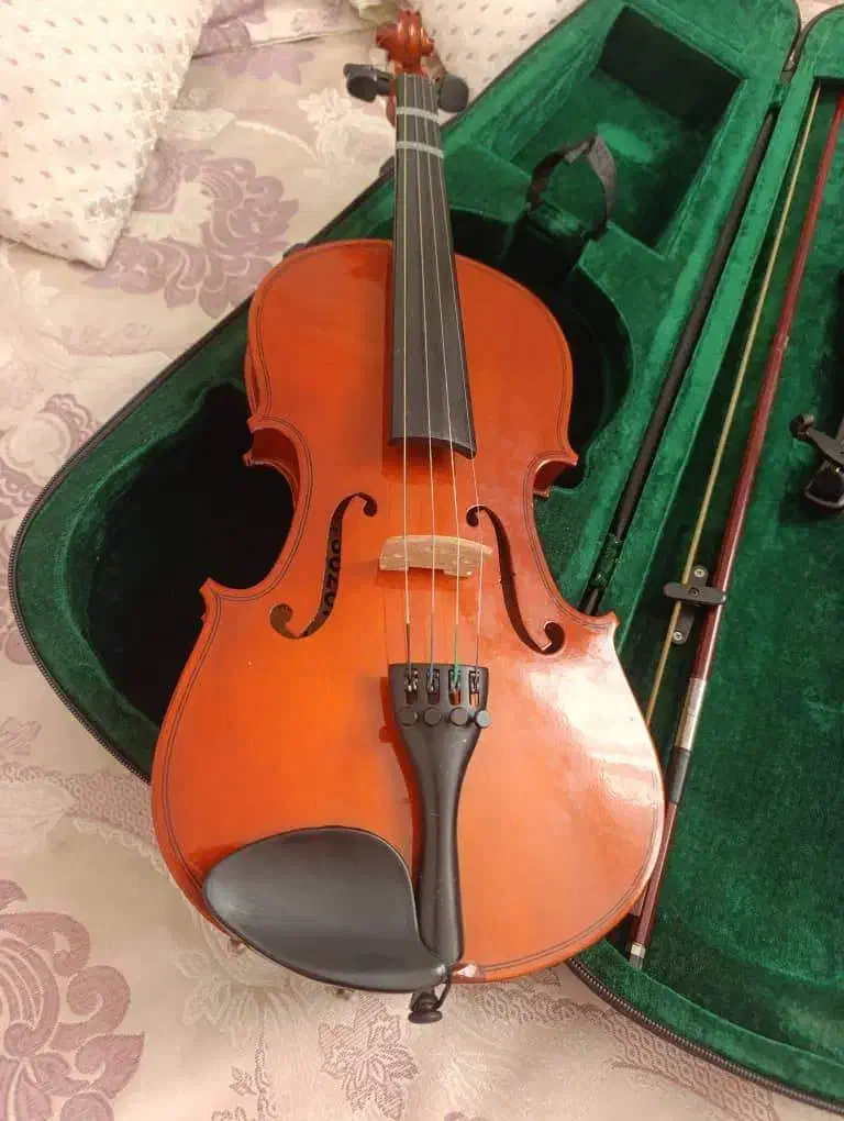 ساز ویولن|ویولن|دامغان, |دیوار