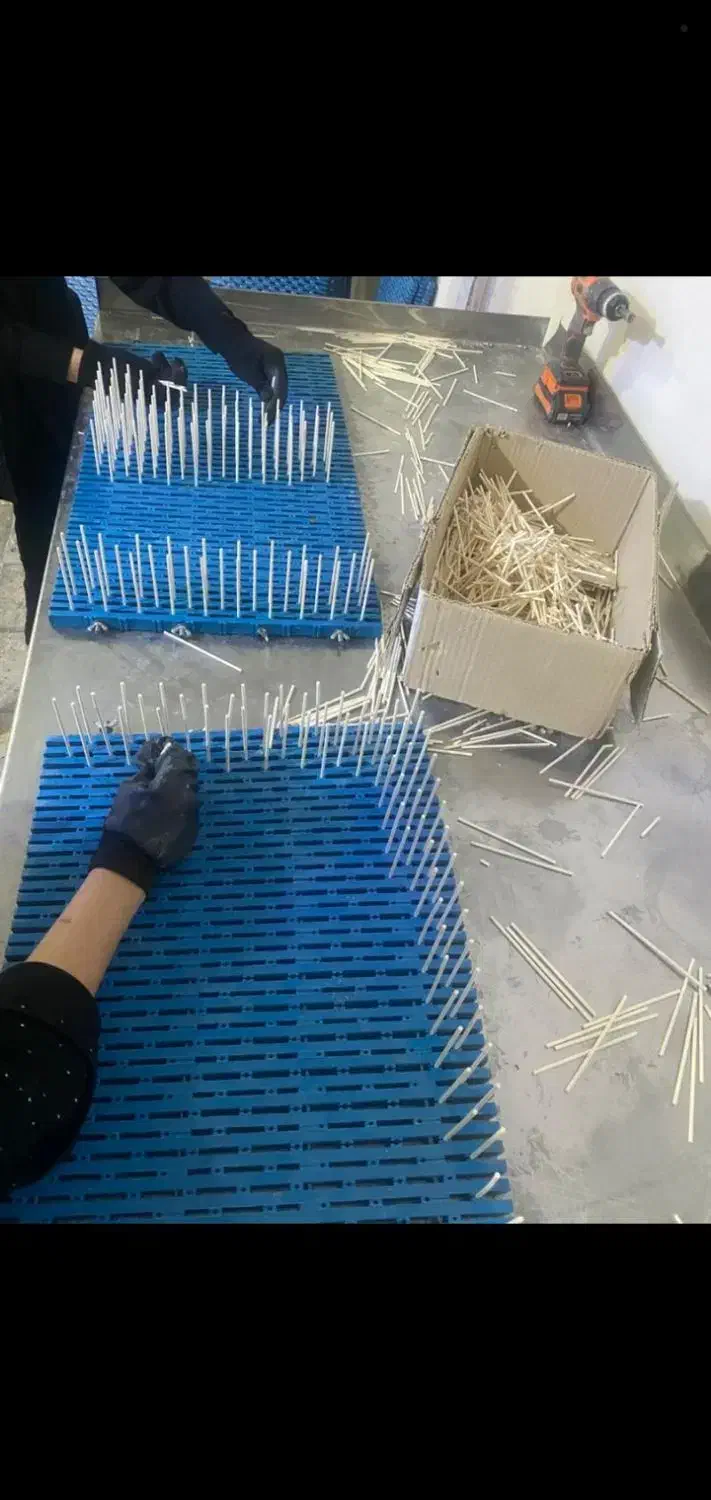 استخدام تعدادی نیرو خانم جهت کار خانه تولید نبات|استخدام صنعتی، فنی، مهندسی|رباطکریم, شهرک صنعتی زوارهای|دیوار