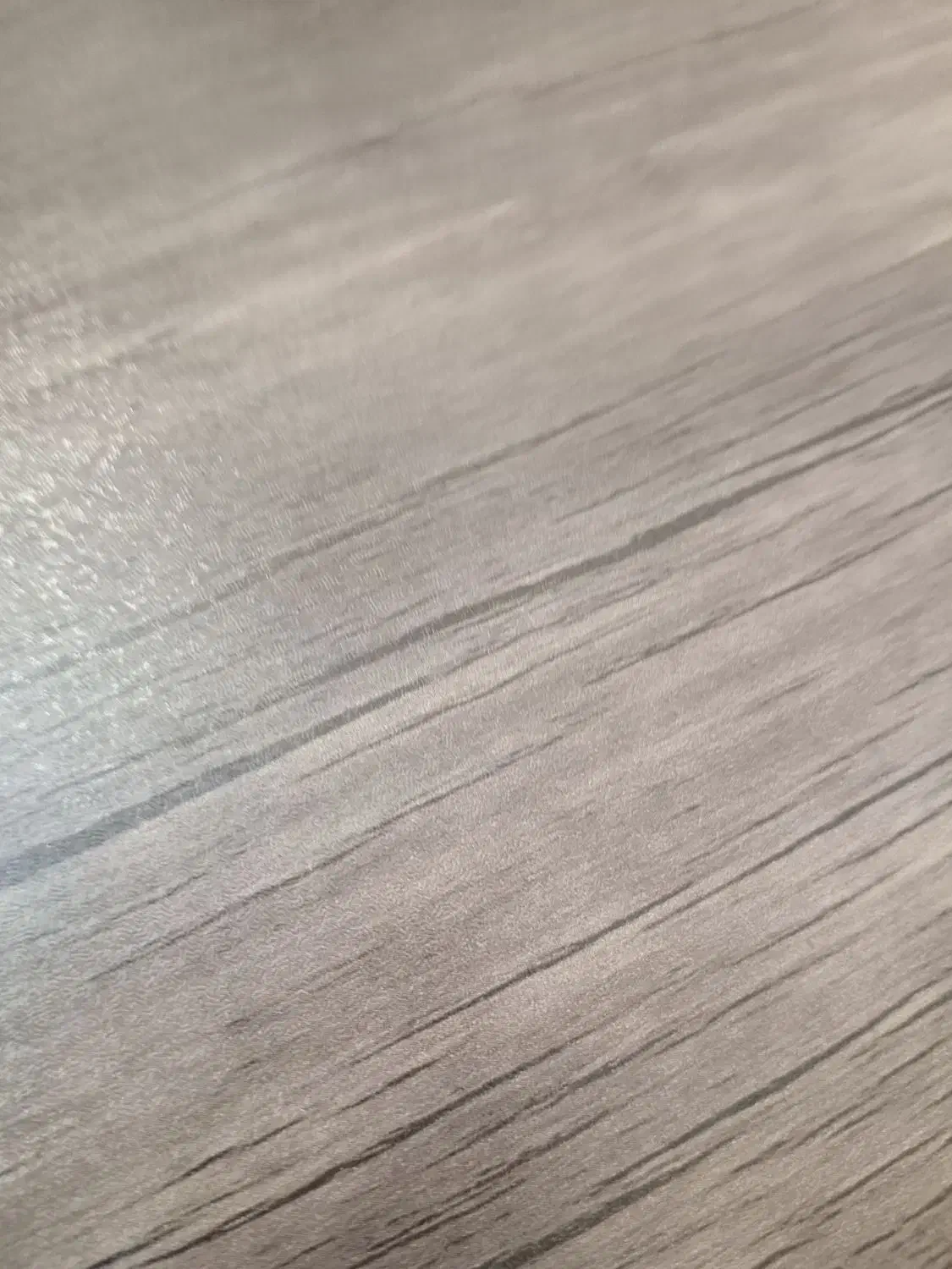 نیازمند همخونه ، هم خانه