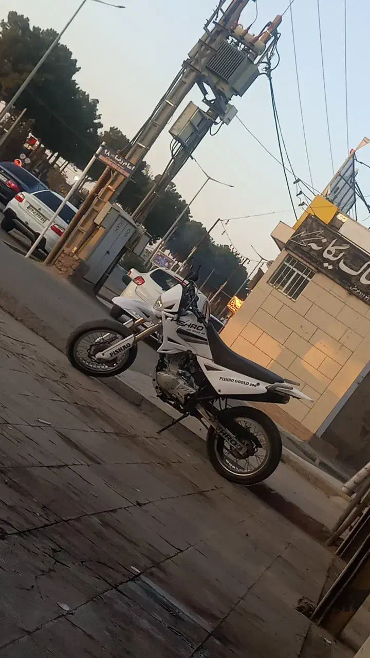 تریل پیشرو گلد200-|موتورسیکلت|تربتحیدریه, پائین ولایت|دیوار