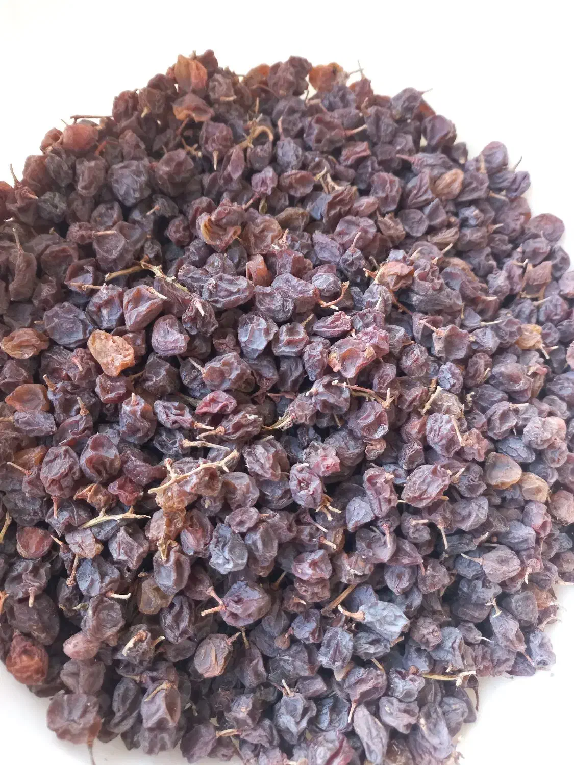 کشمش و مویز آفتابی درجه ۱|عمده‌فروشی|شیراز, گویم|دیوار