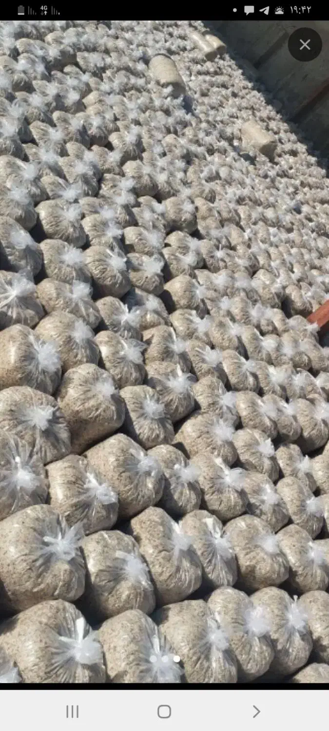 خوراک دام وطیور چغندر و سیب مخصوص گاو و گوسفند|لوازم جانبی حیوانات|رشت, توشیبا|دیوار