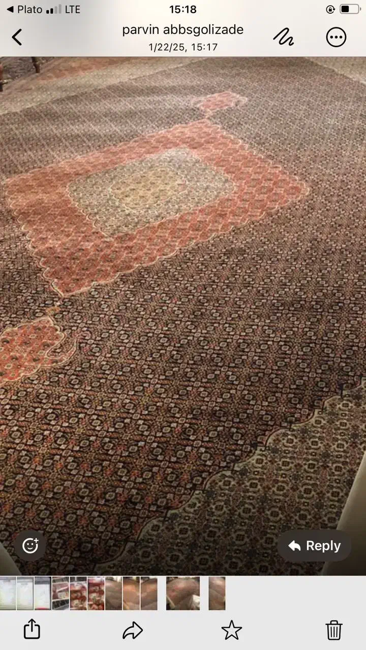 فرش ۲۴ متری ماهی تبریز|فرش|تهران, ونک|دیوار