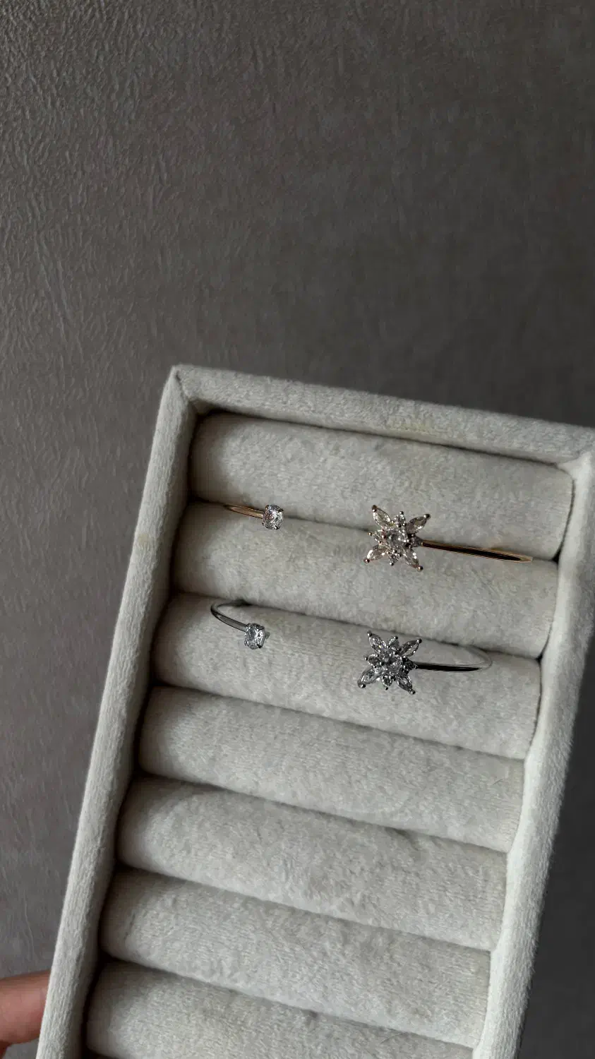 بنگل گل نگینی|بدلیجات|شیراز, شاه قلی بیگی|دیوار