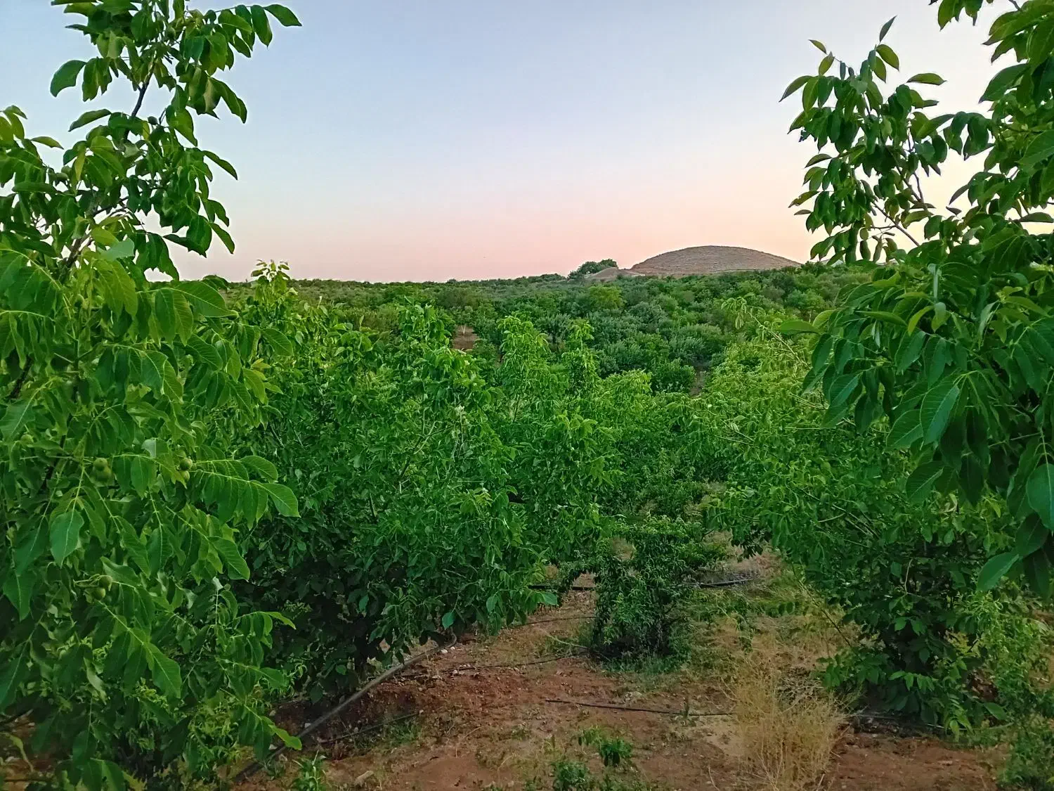 ویلا باغچه|فروش خانه و ویلا|زاینده رود, |دیوار