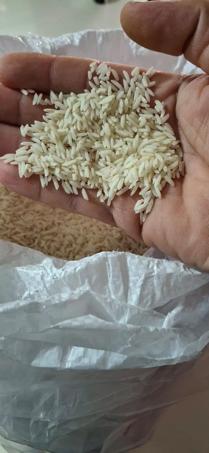 برنج هاشمی سورتینگ شده قیمت ۳۰۰ تومن|خوردنی و آشامیدنی|بندر انزلی, چهارفریضه|دیوار