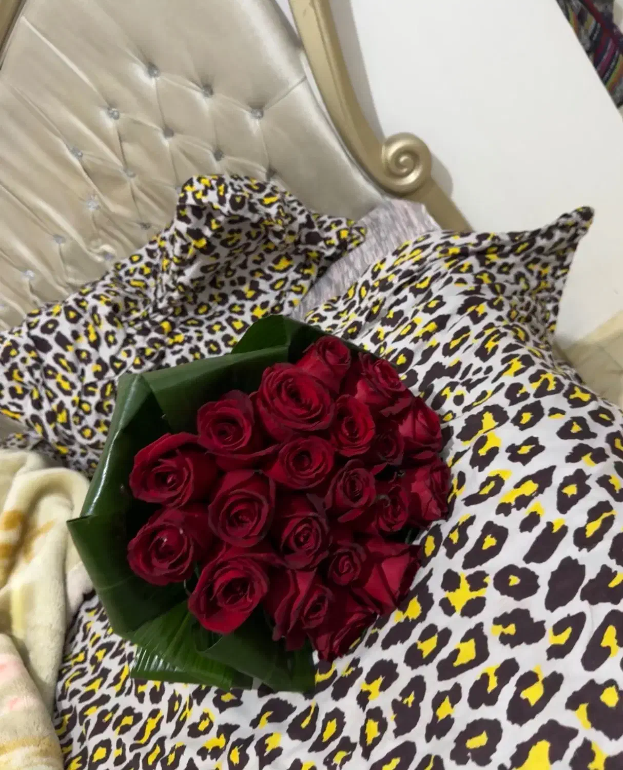 ۲۰ شاخه رز فقط ۲ تومن امروز بخرین کمترم میدم|گل و گیاه طبیعی|قدس, شهر‌قدس|دیوار