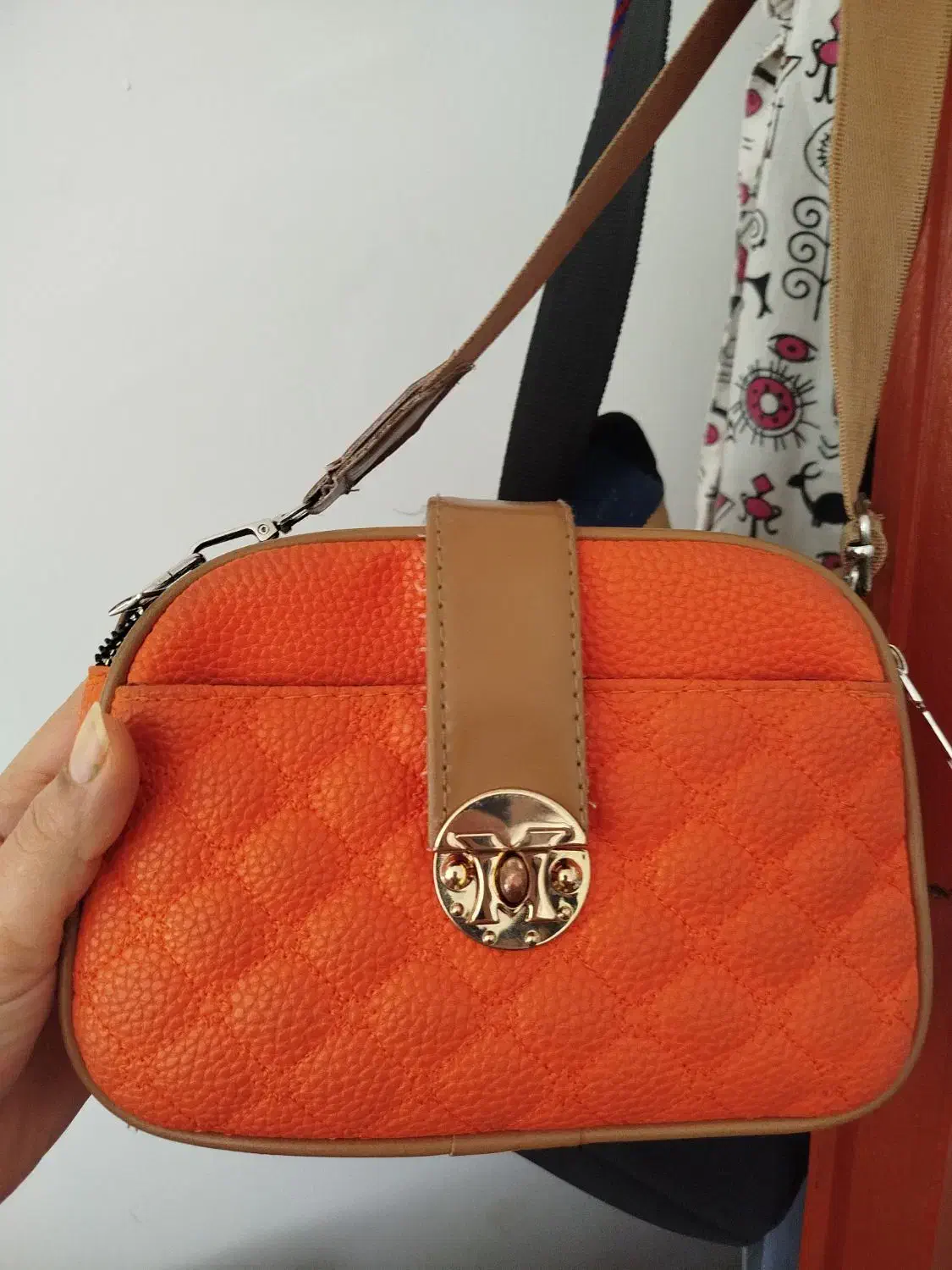 تازه و در حد نو|کیف، کفش، کمربند|سقز, |دیوار