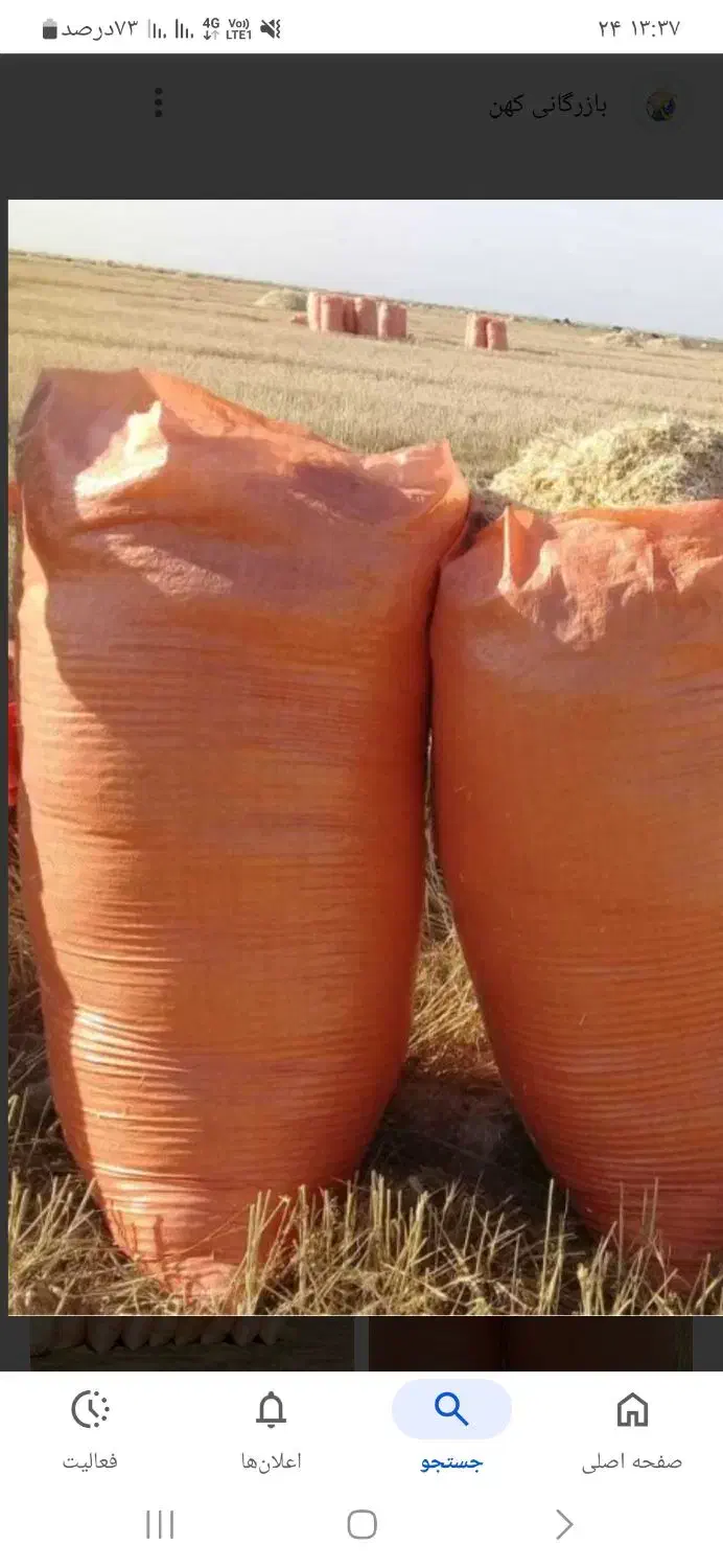 کاه کوبیده موجود می باشد|خدمات باغبانی و درختکاری|گنبد کاووس, |دیوار