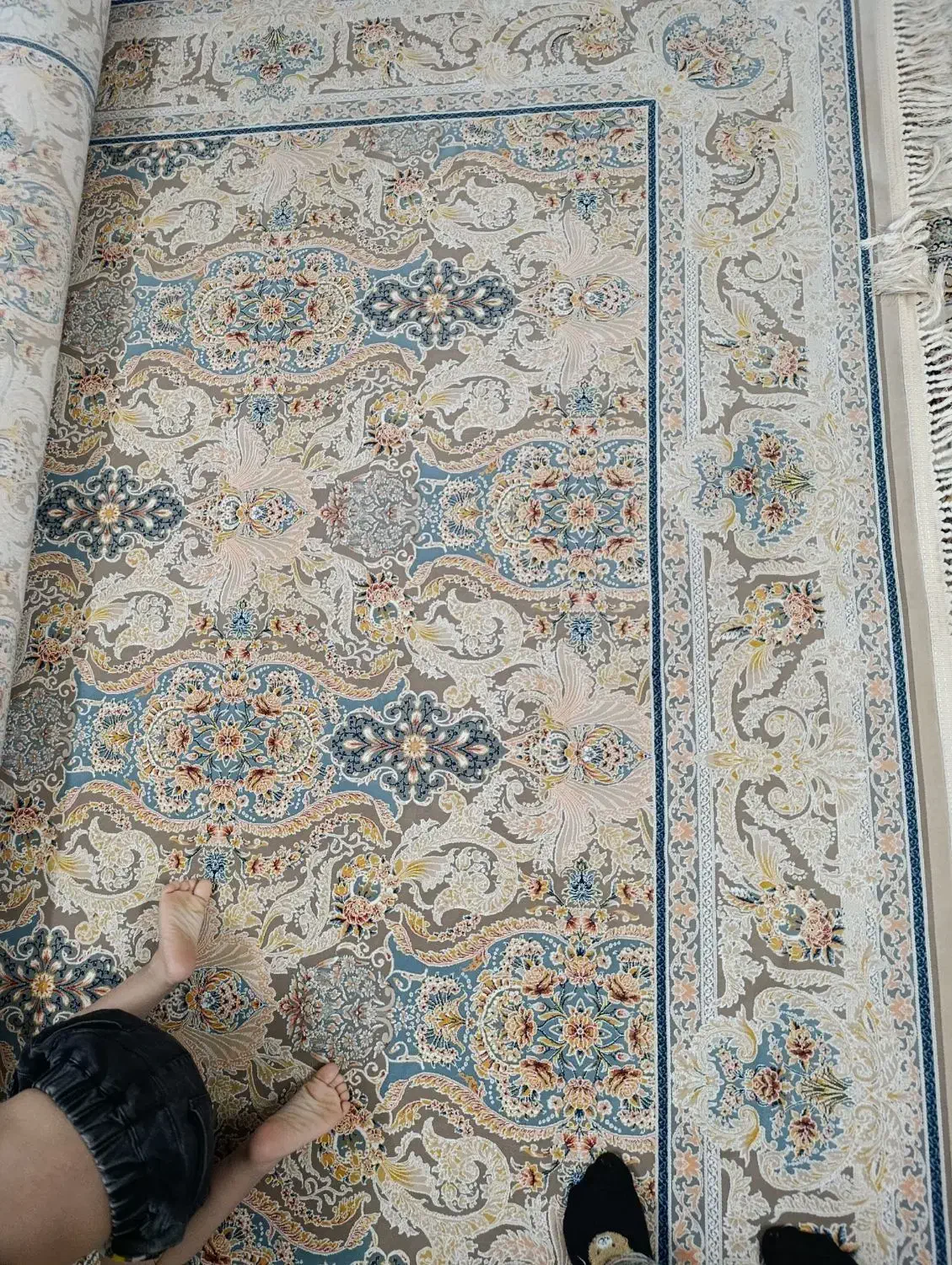 فرش ۹متری|فرش|مشهد, چهاربرج|دیوار