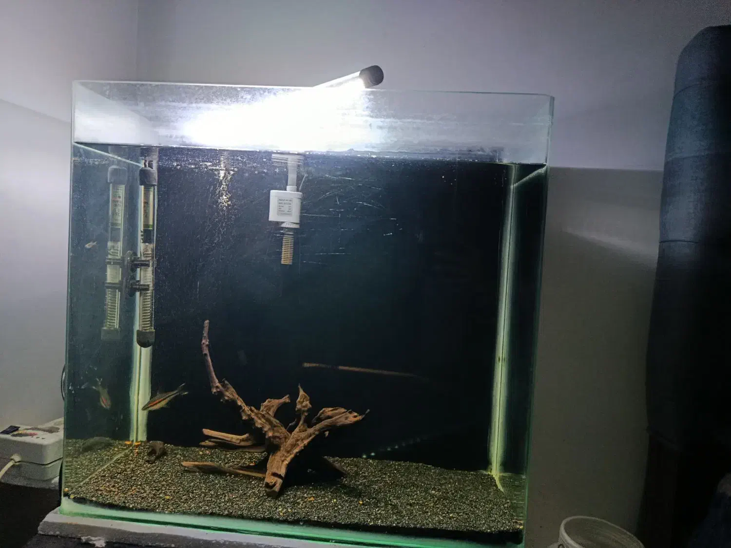 آکواریوم|ماهی|تبریز, |دیوار