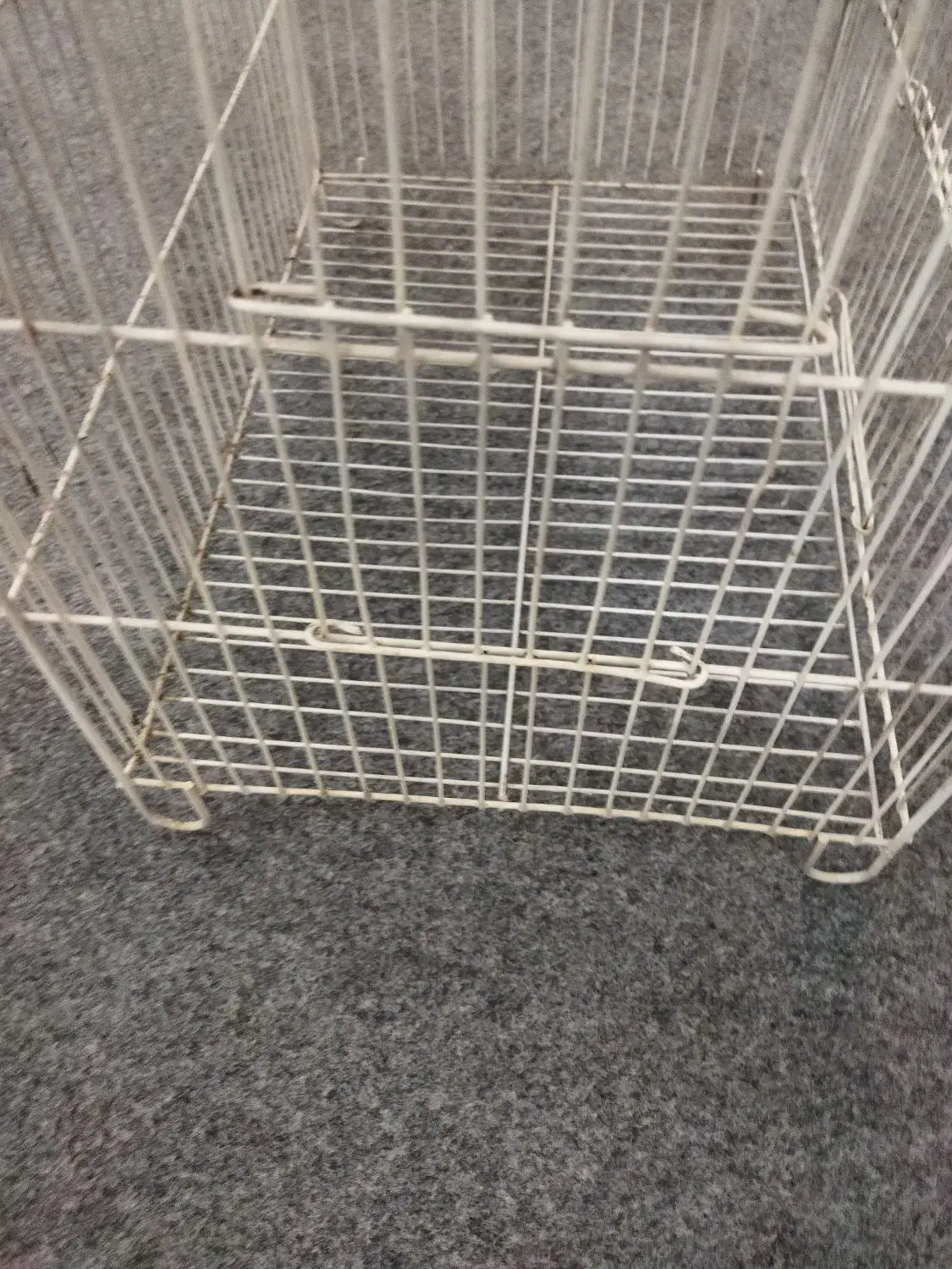 قفس|لوازم جانبی حیوانات|آبدانان, |دیوار