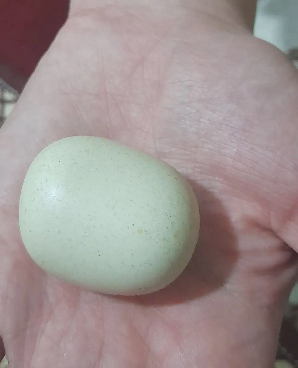 سنگ الماس|جواهرات|همدان, |دیوار