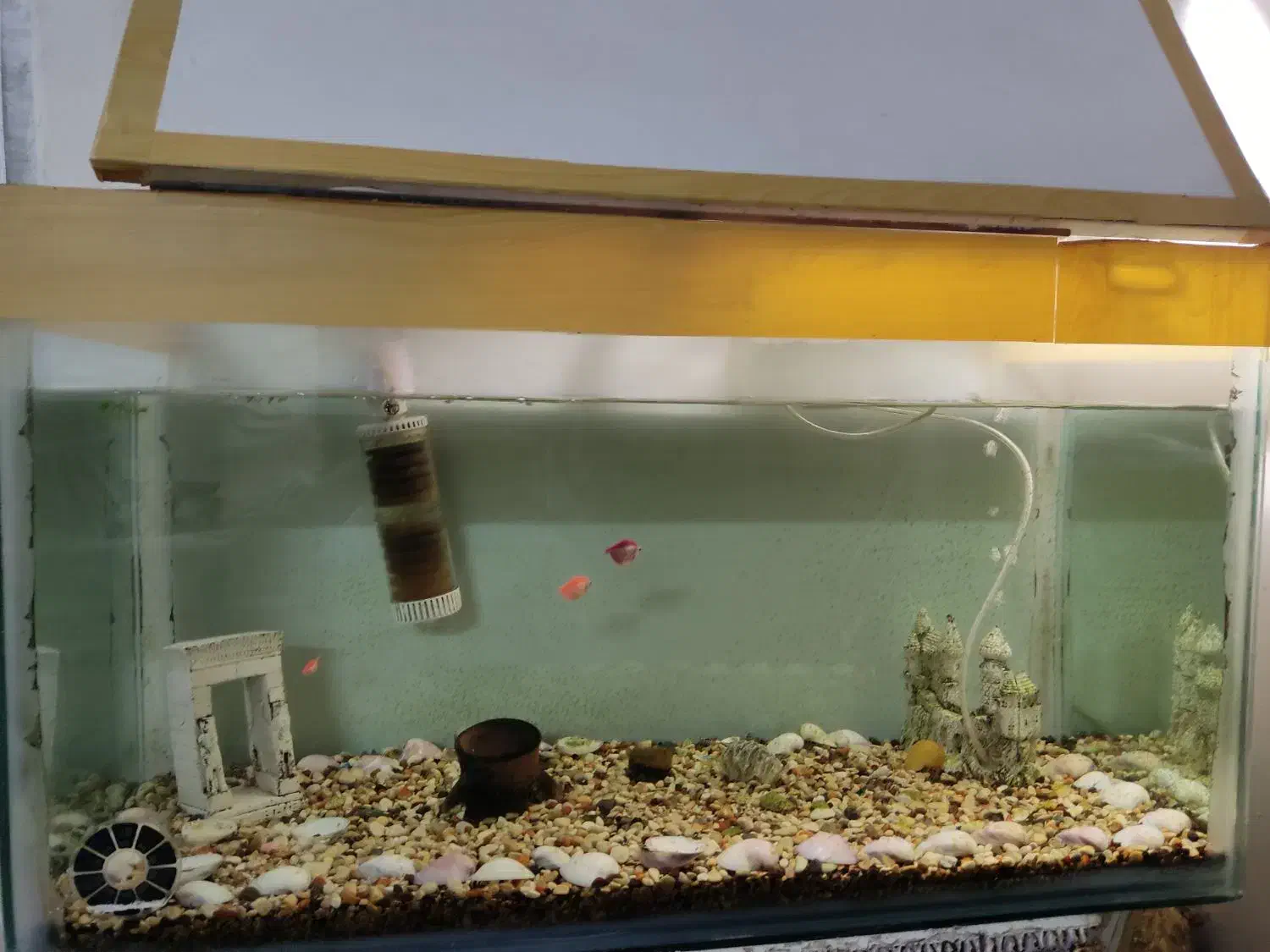 آکواریوم 30*85|ماهی|رشت, نیروی دریایی|دیوار