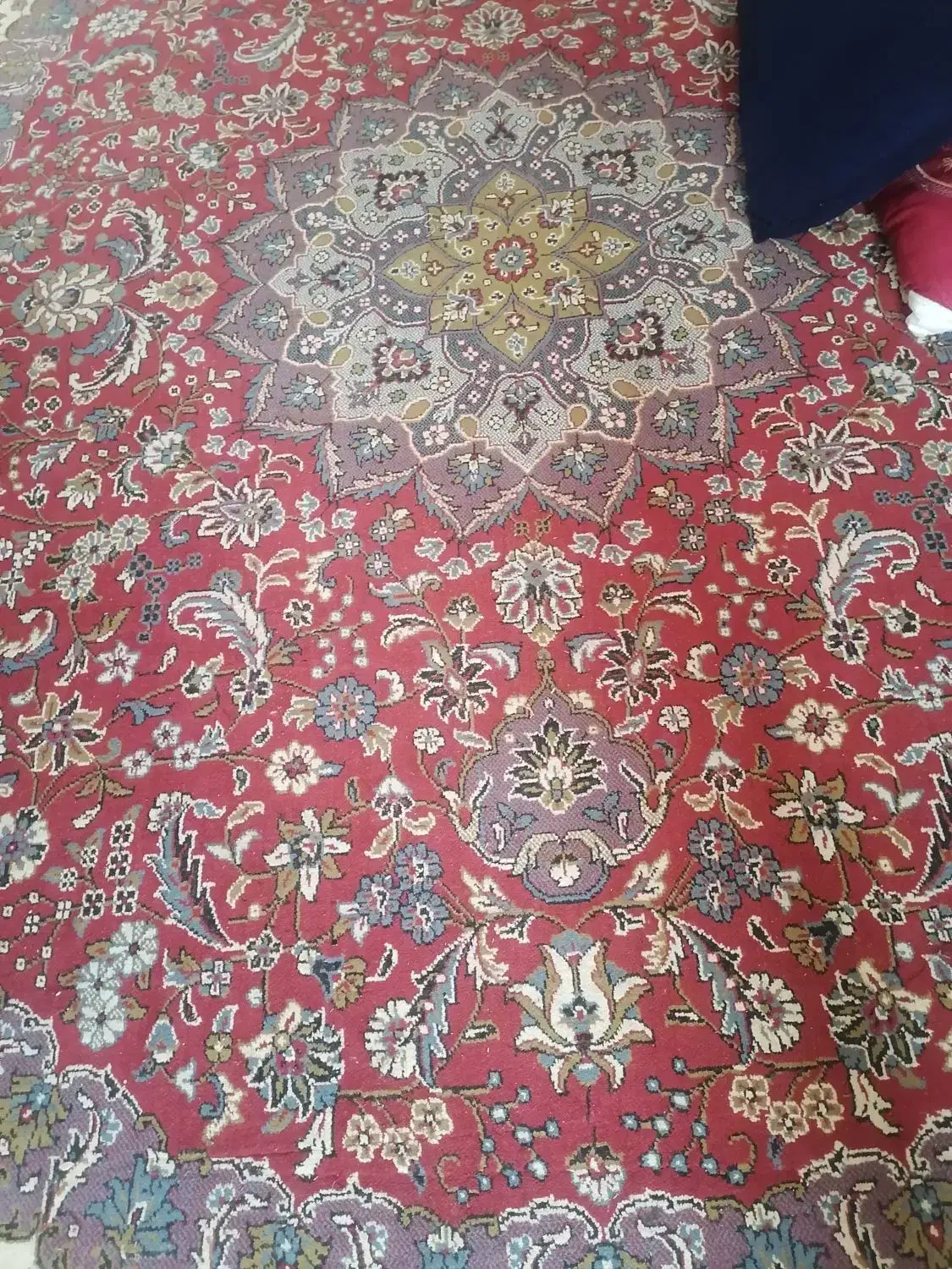 فرش  و وسایل برای خانه مجردی|فرش|مشهد, طبرسی شمالی|دیوار