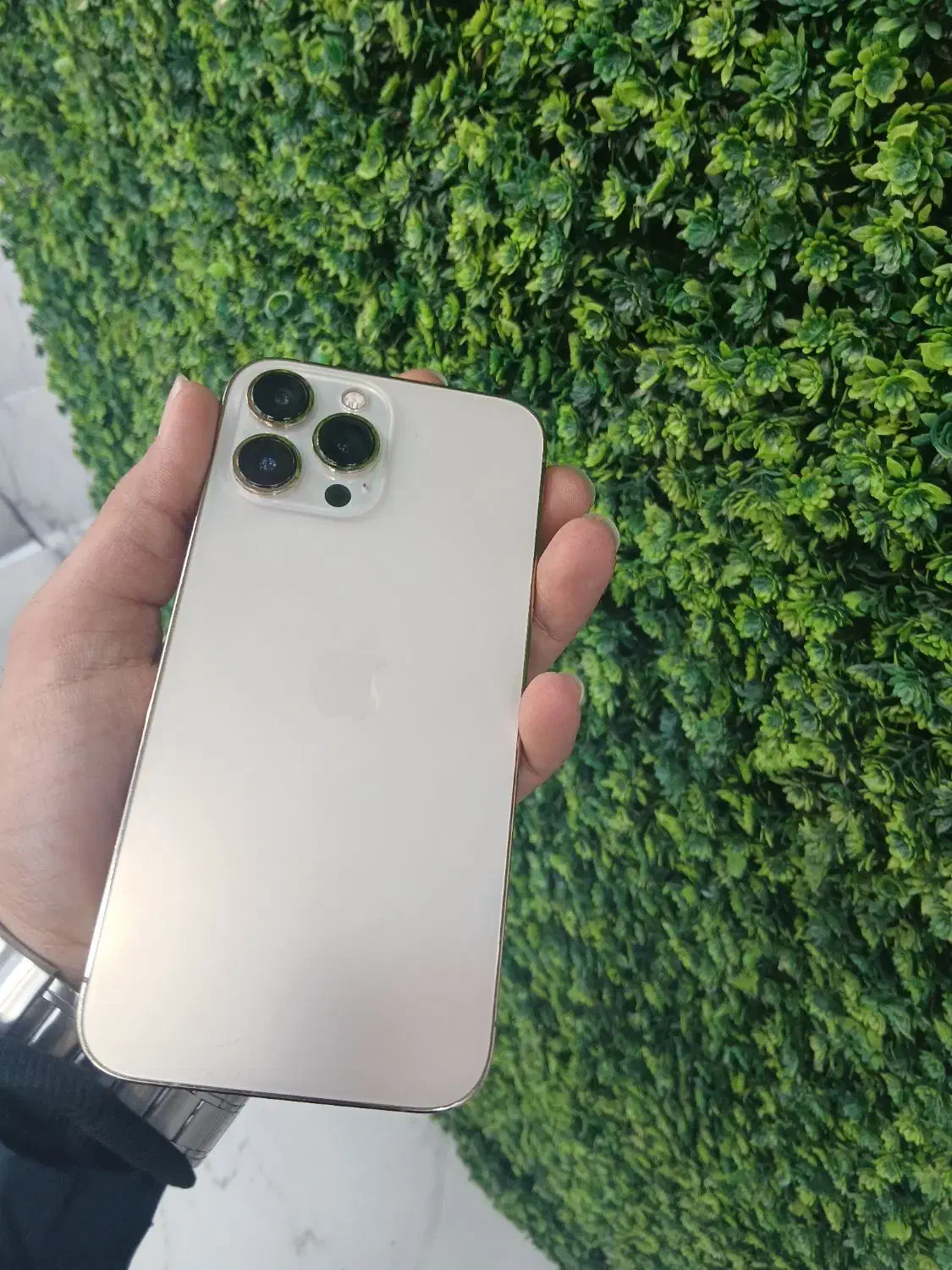 ایفون 13promax با گرانتی شرکتی|موبایل|اهواز, گلستان|دیوار