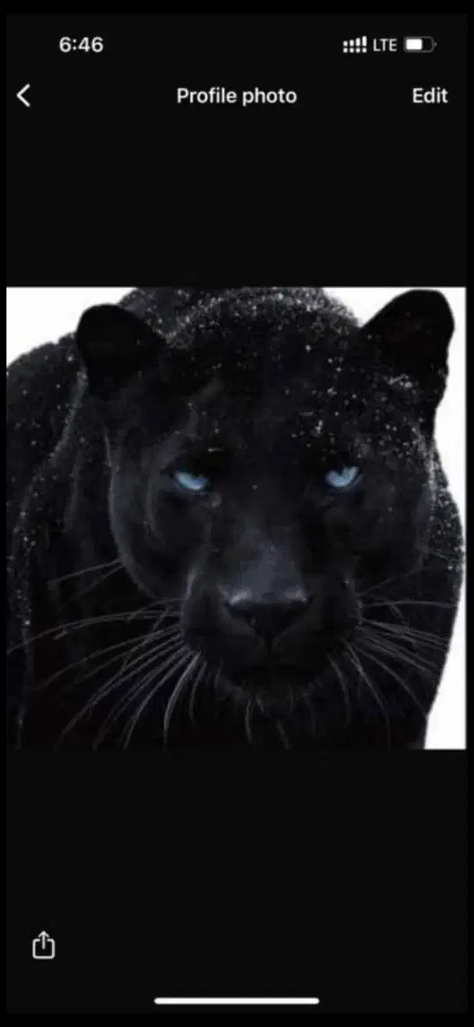 60 87 120 0912|سیم‌کارت|تهران, بازار|دیوار