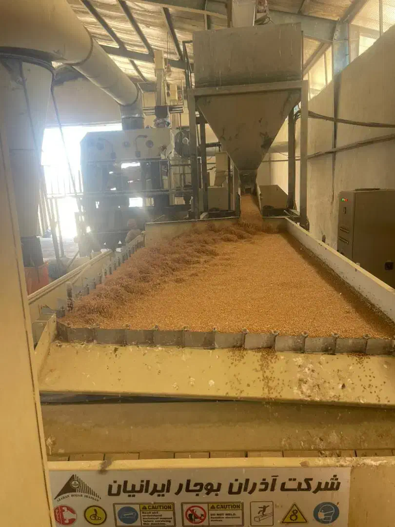 فروش بذر اصلاح شده ارقام پیشگام ،حیدری،زرینه|خدمات باغبانی و درختکاری|اقلید, |دیوار