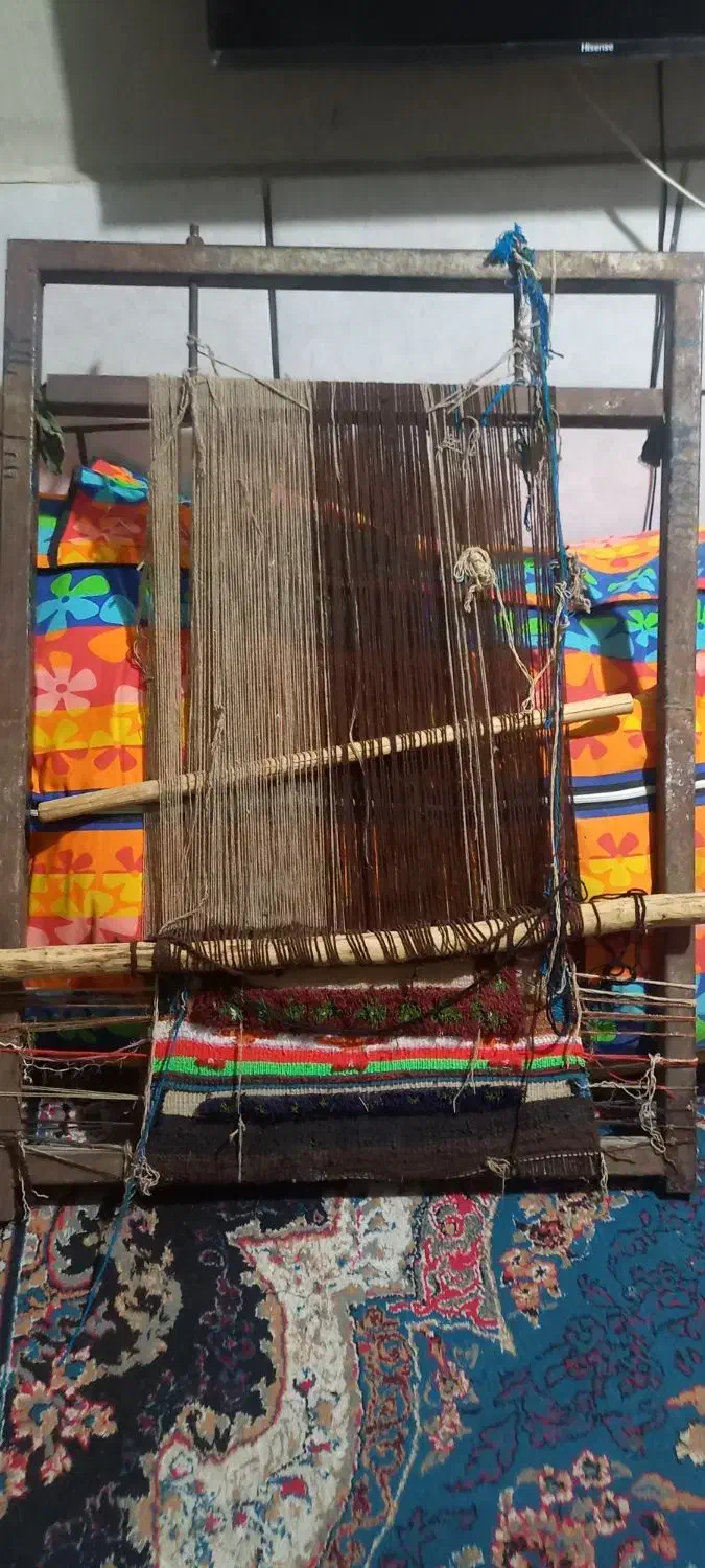 داره قالی|گلیم، جاجیم، گبه|آبادان, |دیوار