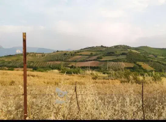 زمین 500متری فولاد محله|فروش زمین و ملک کلنگی|شهمیرزاد, |دیوار