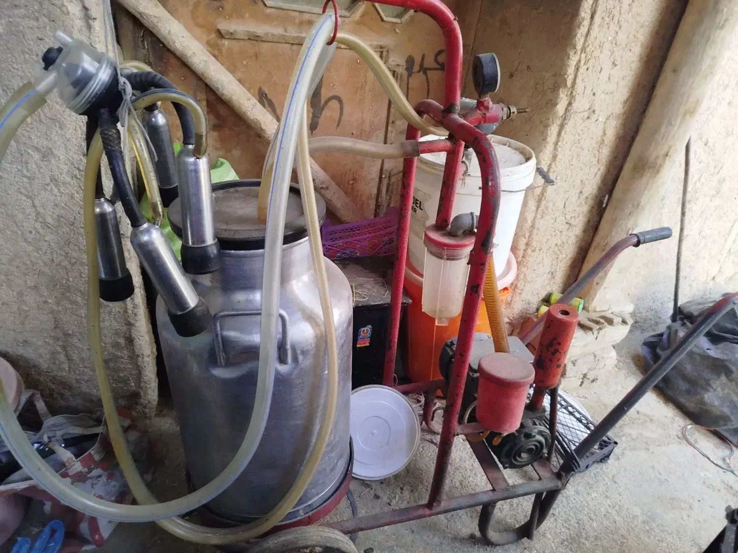 شیر دوش|لوازم جانبی حیوانات|داران, |دیوار