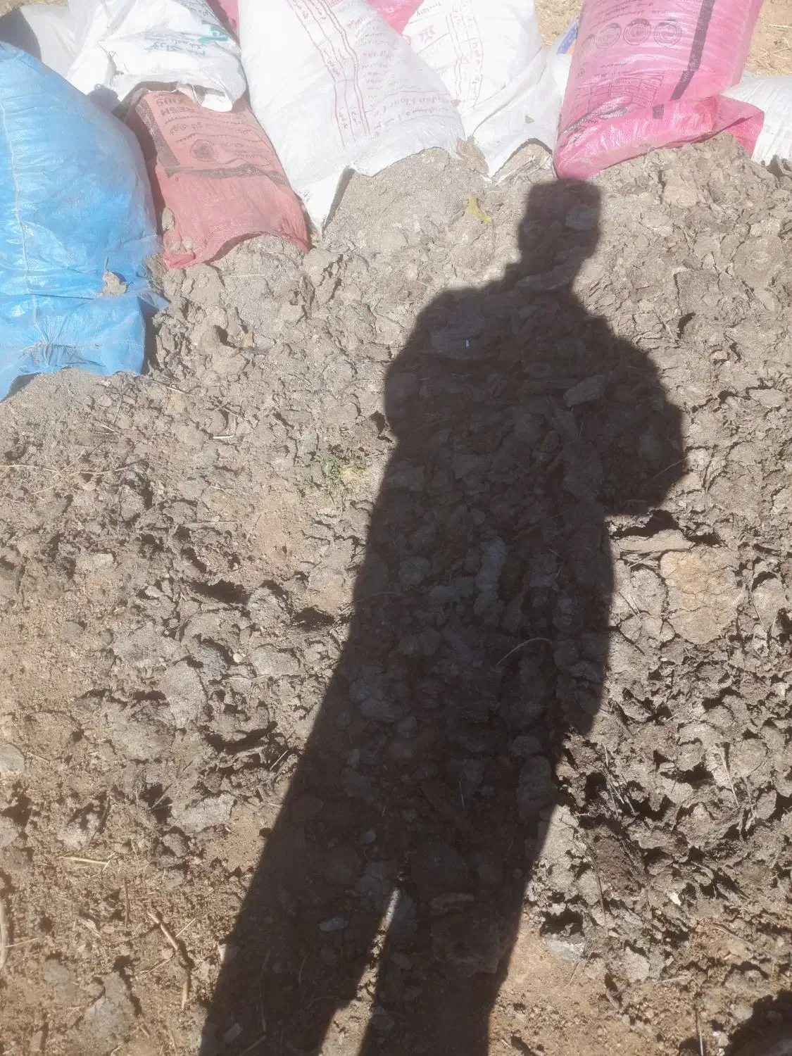 فروش کود مرغی|لوازم جانبی حیوانات|دشمن زیاری, |دیوار