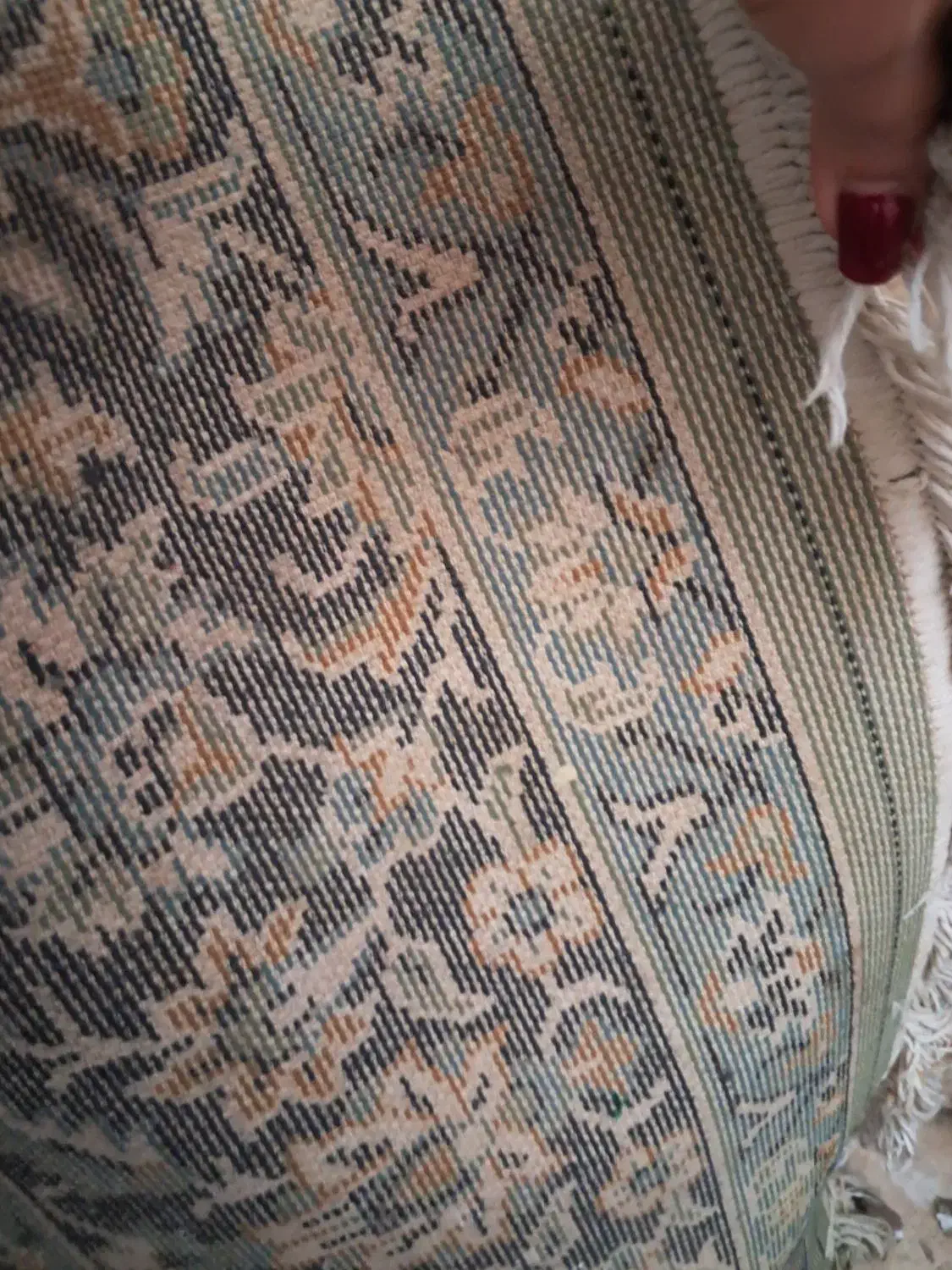 فرش ۶ متری نگین مشهد|فرش|مبارکه, |دیوار