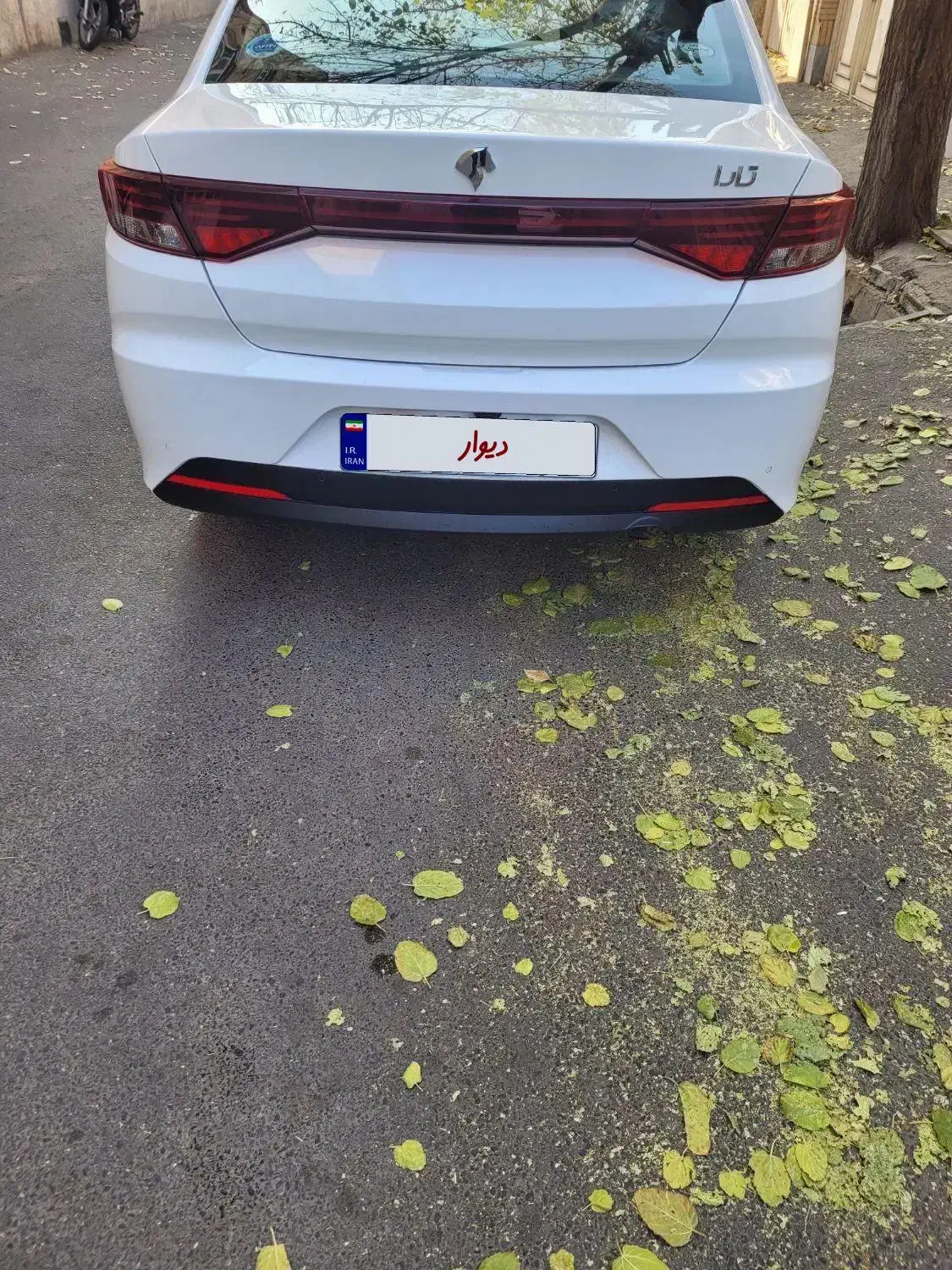 تارا v1 مدل ۱۴۰۴|خودرو سواری و وانت|تهران, عباسی|دیوار